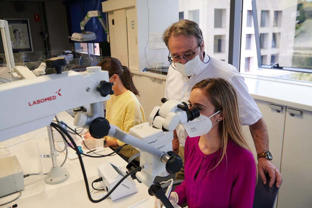 formación en Endodoncia